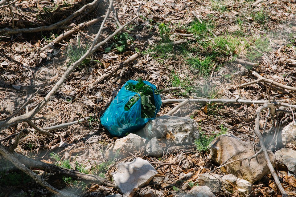 Mt Parnitha / Πάρνηθα