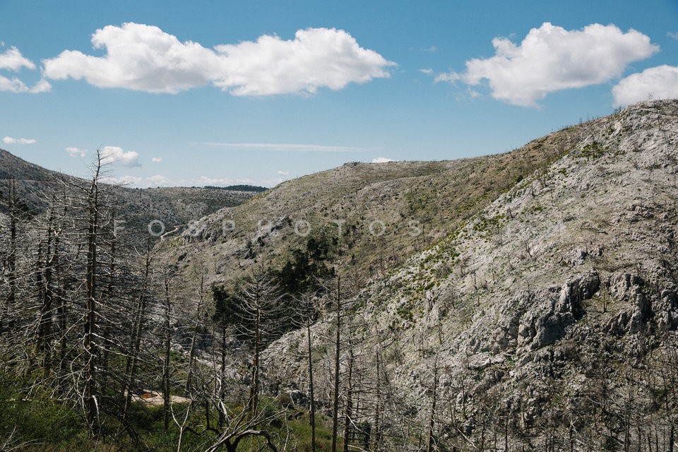 Mt Parnitha / Πάρνηθα