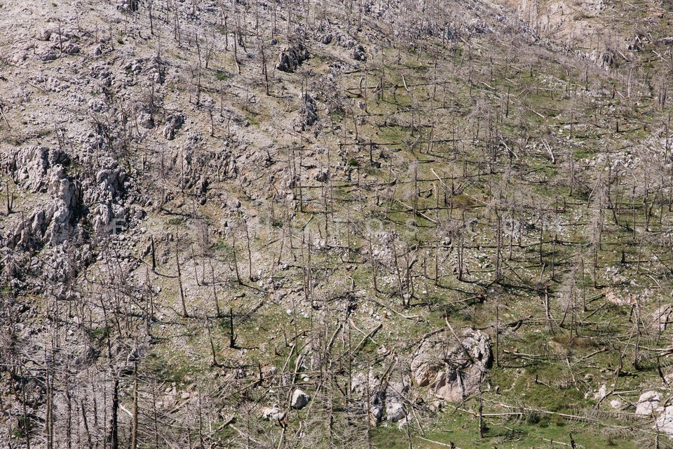 Mt Parnitha / Πάρνηθα