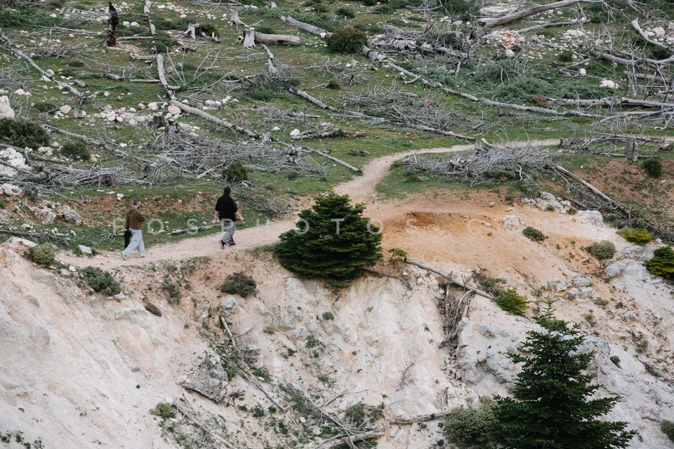 Mt Parnitha / Πάρνηθα