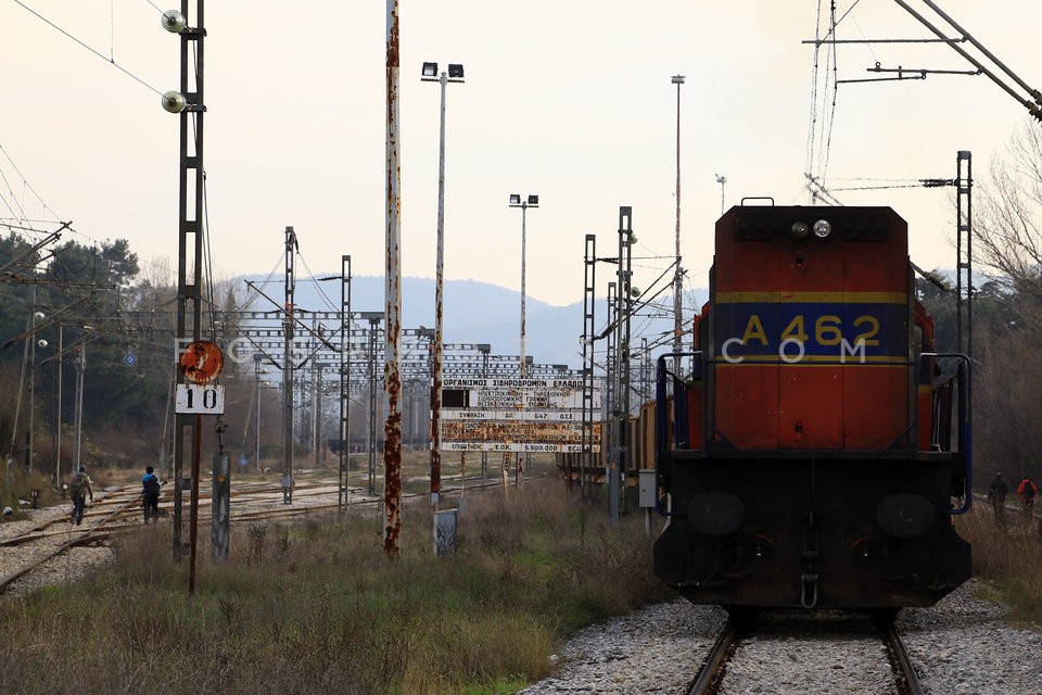 Μετανάστες στα σύνορα Ελλάδας-ΠΓΔΜ/Immigrants at Greece-FYROM borders