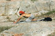 Yoga at the Grove of Pnyx / Γιόγκα στο Άλσος της Πνύκα