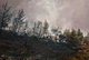 Bushfires in Athens Ymittos / Φωτίες στον Υμηττός Αθήνα
