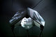 Dodecahedron, audiovisual installation of Daniel Bisig  / Δωδεκάεδρο, οπτικοακουστική εγκατάσταση του Daniel Bisig