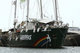 Rainbow Warrior  /  Το πλοίο της Greenpeace 