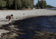 Greek oil spill spreads to Athens riviera  / Ρύπανση στο Σαρωνικό μετά τη βύθιση δεξαμενοπλοίου