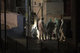 Assasination Outside Golden Dawns Offices / Δολοφονία Έξω από τα γραφεία της Χρυσης Αυγής