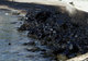 Oil pollution in the Saronic Gulf / Ρύπανση στο Σαρωνικό μετά τη βύθιση δεξαμενοπλοίου
