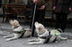 05_guide_dogs_IMG_9063